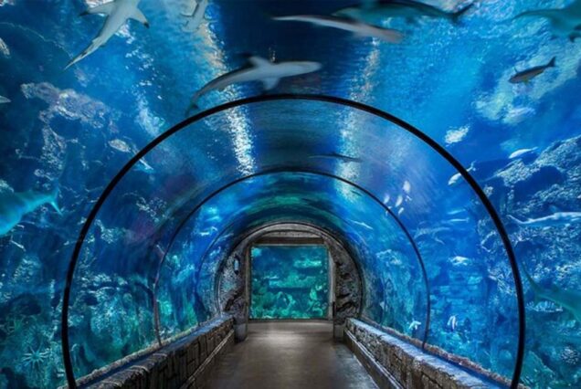 Hurghada Grand Aquarium