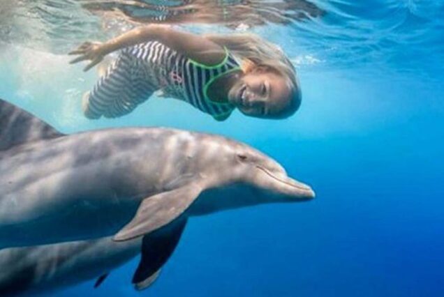 Dolphin House Snorkeling Trip