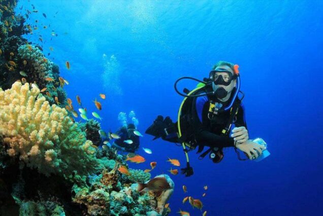 Scuba Diving Full Day Boat Trip With Lunch
